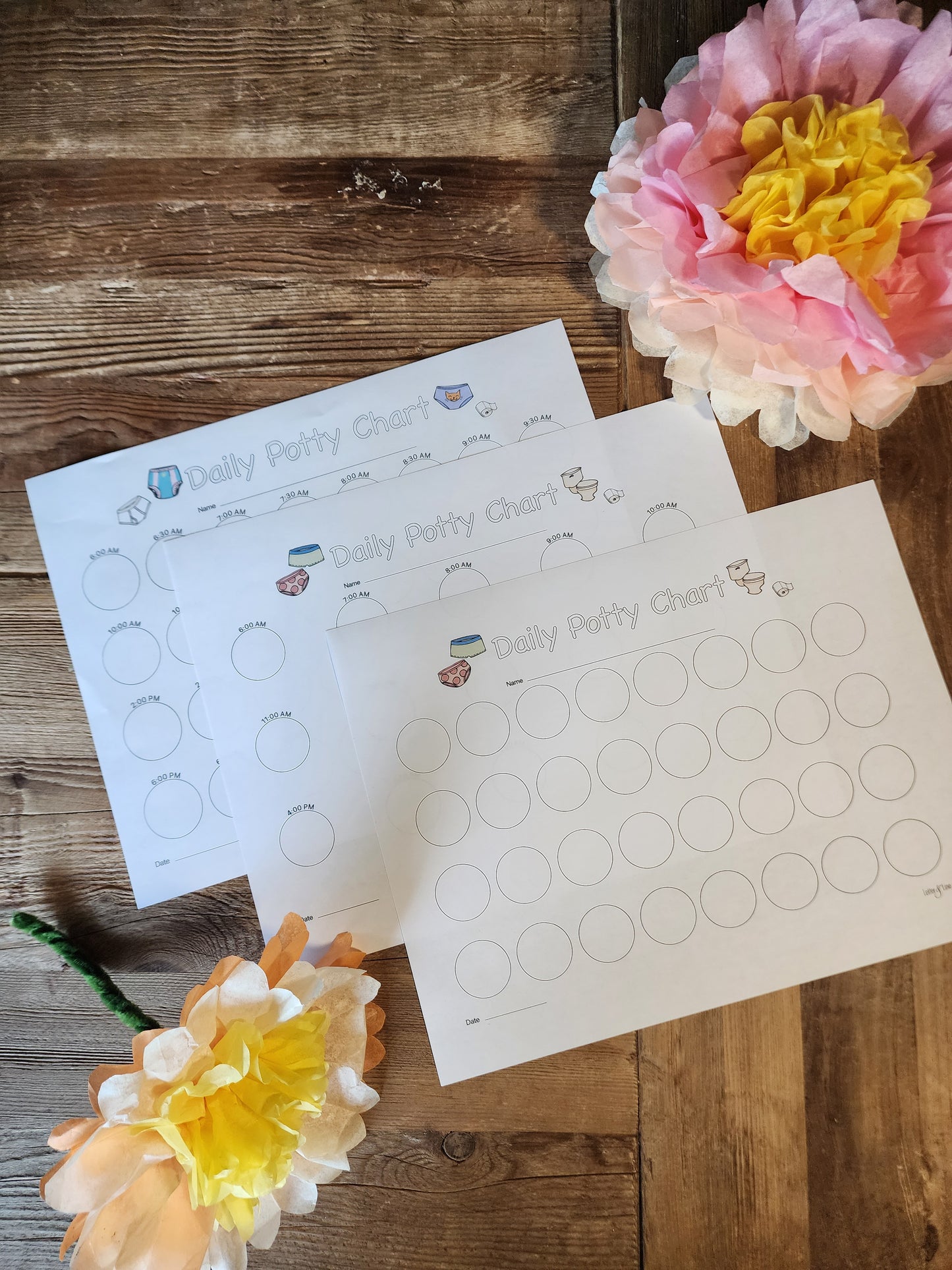 Daily Potty Chart Printable